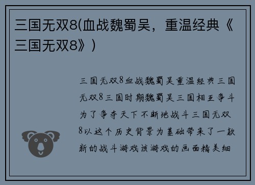 三国无双8(血战魏蜀吴，重温经典《三国无双8》)