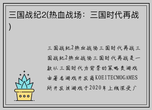 三国战纪2(热血战场：三国时代再战)
